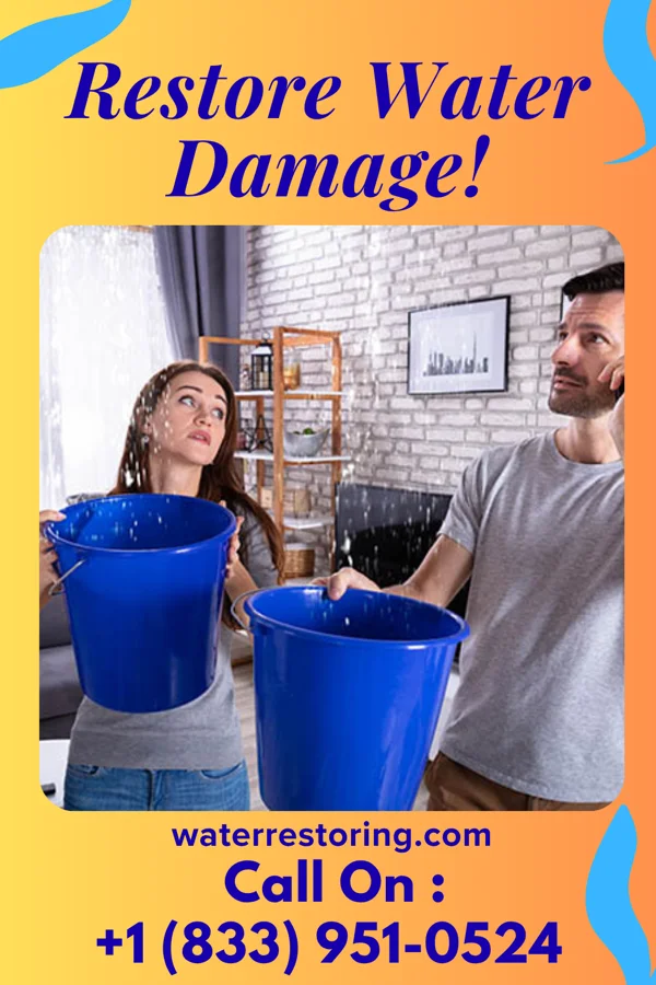 water restoration Stellar Sewage Cleanup Brothers Ferryville