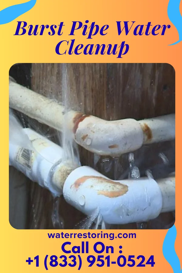 Burst Pipe Water Cleanup in Ferryville, WI