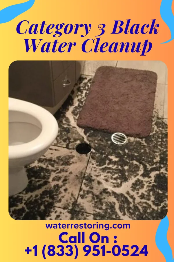Category 3 Black Water Cleanup in Ferryville, WI